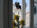 IMG_6256.JPG