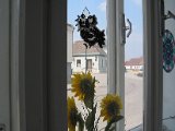 IMG_6257.JPG