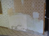 IMG_6275.JPG