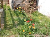 IMG_6287.JPG