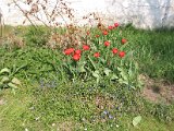 IMG_6289.JPG