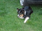 IMG_6356.JPG