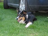 IMG_6357.JPG