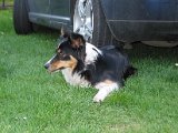 IMG_6358.JPG
