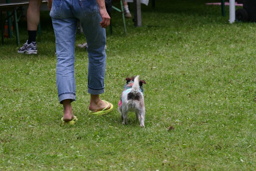 IMG_3650