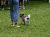 IMG_3649.JPG