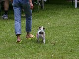 IMG_3650.JPG