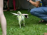 IMG_3661.JPG