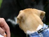 IMG_3741.JPG