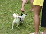 IMG_3774.JPG