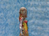 IMG_3856.JPG