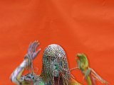 IMG_3861.JPG