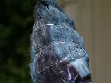 IMG_4038.JPG