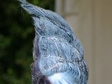 IMG_4039.JPG