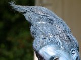IMG_4040.JPG
