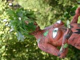 IMG_4133.JPG