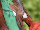 IMG_4134.JPG