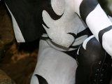 IMG_4162.JPG