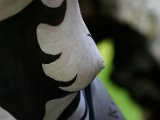 IMG_4176.JPG