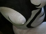 IMG_4178.JPG