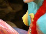 IMG_4232.JPG