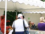 IMG_4740.JPG