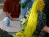 IMG_4852.JPG