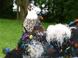 IMG_4874.JPG