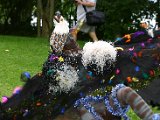 IMG_4875.JPG