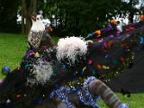 IMG_4876.JPG
