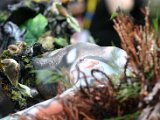 IMG_4884.JPG