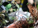 IMG_4885.JPG
