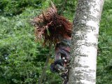 IMG_4895.JPG