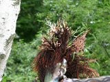 IMG_4899.JPG