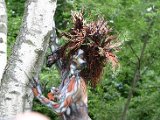 IMG_4900.JPG