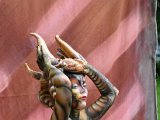 IMG_5021.JPG