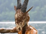 IMG_5073.JPG