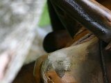 IMG_5182.JPG