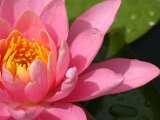 IMG_5430.JPG