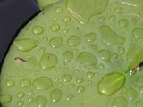 IMG_5431.JPG