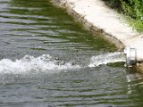 IMG_5435.JPG