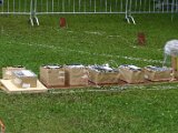 IMG_5453.JPG