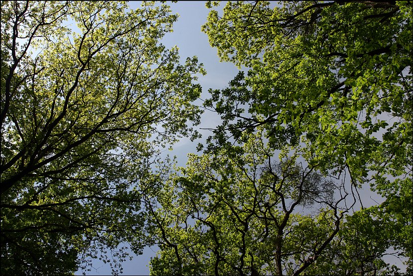 Wandertag020
