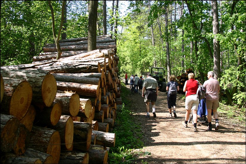 Wandertag023