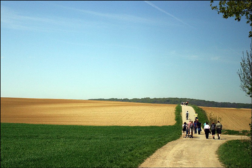 Wandertag024
