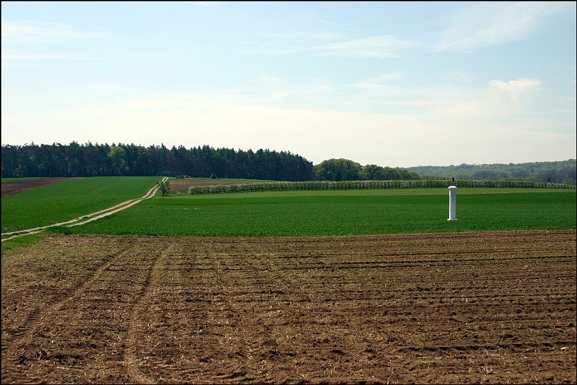 Wandertag026