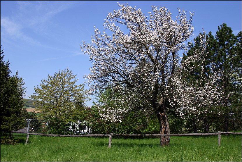 Wandertag033