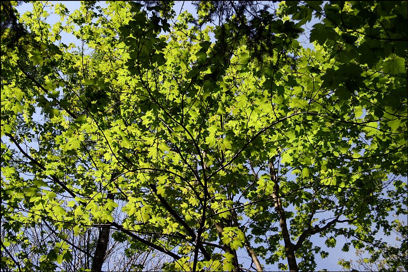 Wandertag064