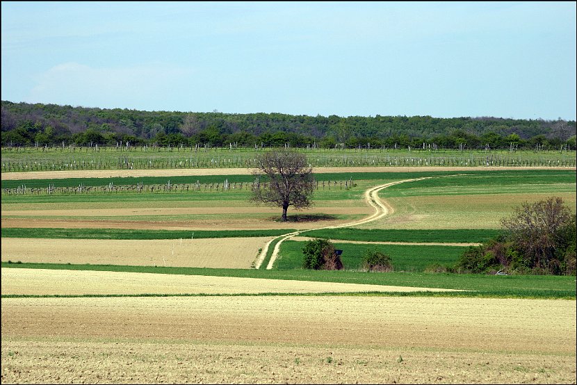 Wandertag107