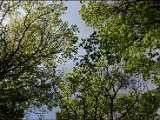 Wandertag020.JPG